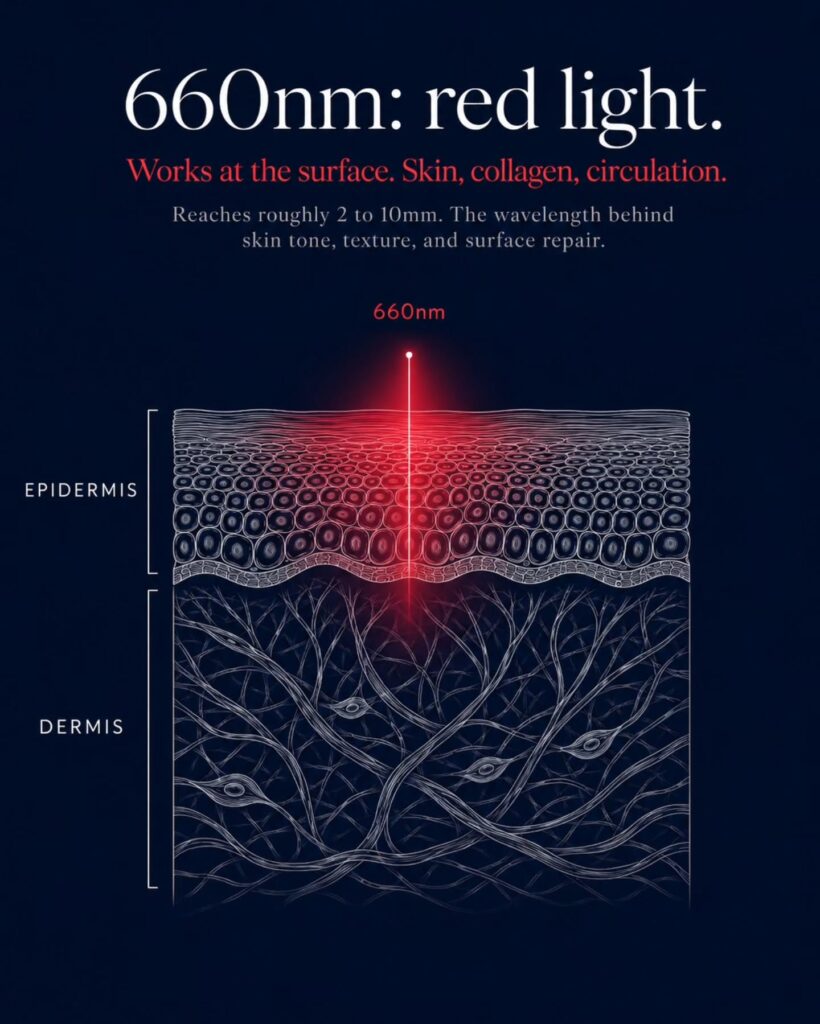 what is the difference between red light therapy and infrared 1 what is the difference between red light therapy and infrared 01 1786258544265428179